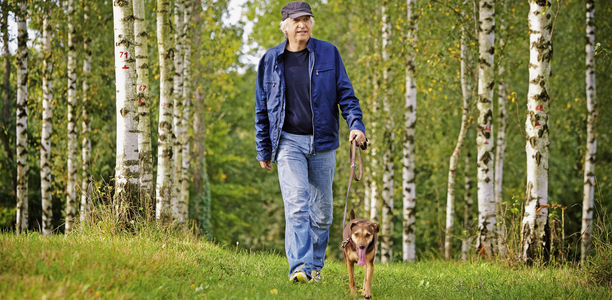 Bild zu Typ-2-Diabetes - Zum Nachtisch: Bewegung in kleinen Portionen