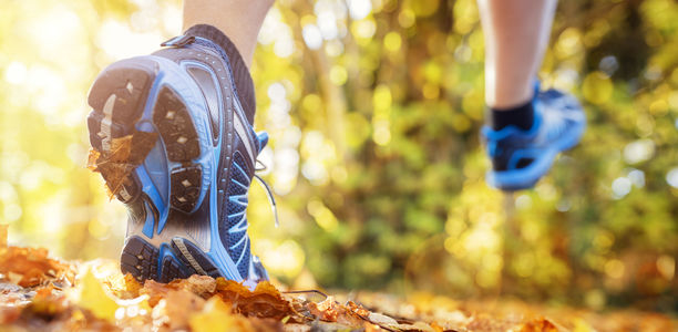 Bild zu Ergebnisse von winMove - Körperliche Aktivität bei Typ-1-Diabetes