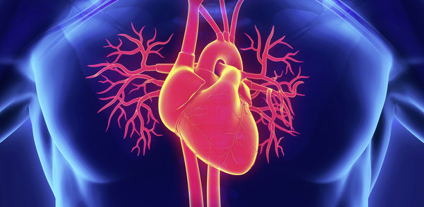 Bild zu Herzunterstützungssysteme - Aufgaben und Möglichkeiten der Rehabilitation und Nachsorge