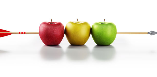 Bild zu NutriAct-Familienstudie - Essen, Erbe und Partnerschaft