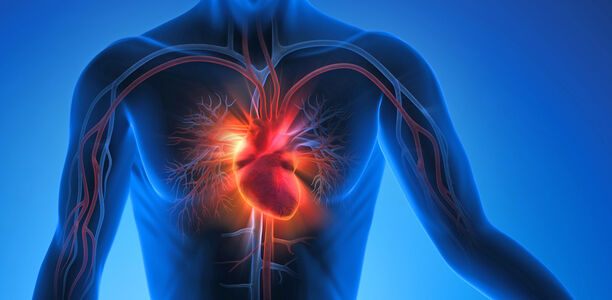 Bild zu Lipidomik - Biomarker für Gefäßerkrankungen und Typ-2-Diabetes