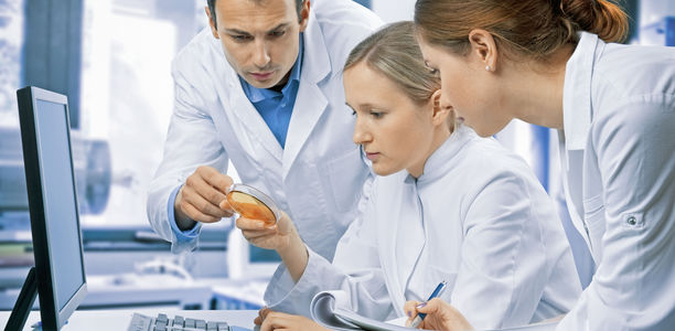 Bild zu Autophagie - Wie Zellen bei Zuckermangel die Selbstverdauung stimulieren