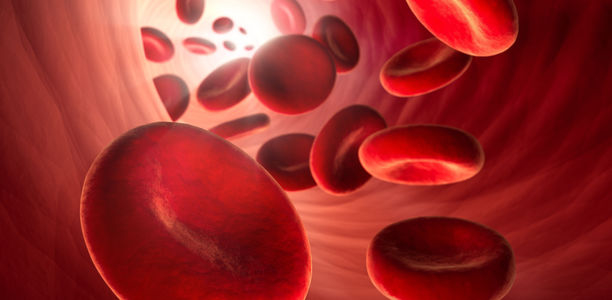 Bild zu Diabetes und KHK - Körpereigener Biomarker proBNP gibt Hinweis auf Sterberisiko 