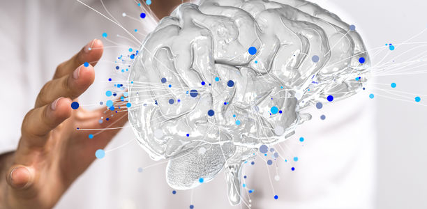 Bild zu Perspectives in Diabetic Neuropathy: - Update on Diagnostic Criteria and Treatment Options