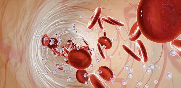 Bild zu Immunzellen - Die fatale Rolle der T-Zellen bei COVID-19