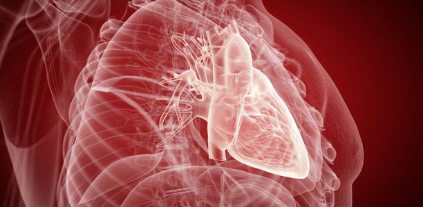 Bild zu Die ADA zum kardiovaskulären Risikomanagement - "Im Westen nichts Neues"