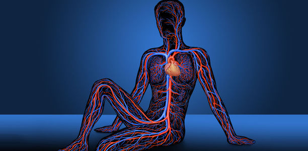 Bild zu DGA-Jahrestagung - Neue Therapien bei Gefäßerkrankungen