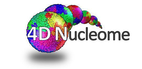 Bild zu „4D Nucleome“-Netzwerk - Einheitliche Standards für epigenetische Daten gefordert