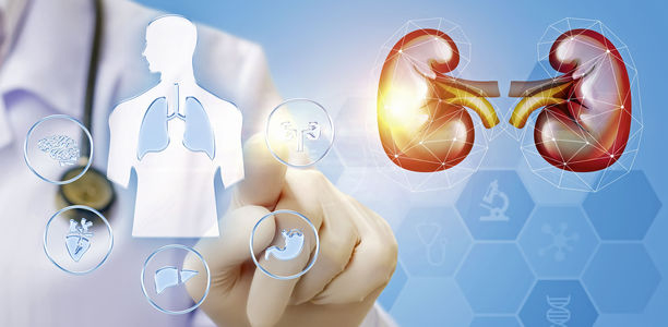 Bild zu Typ-2-Diabetes und milde Niereninsuffizienz
 - Prospektive Daten zur Wirksamkeit und Sicherheit von Sitagliptin