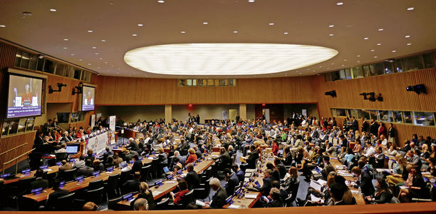 Bild zu VDBD - UN-Gipfel: Präventionsziele bislang nicht erreicht