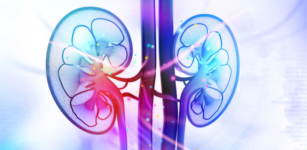 Bild zu Diabetes und Niere - Neuer Ansatz zur Therapie der diabetischen Nephropathie
