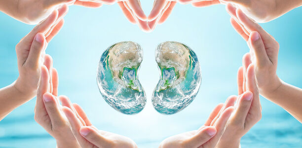 Bild zu Chron. Nierenkrankheit - „Meilenstein“: SGLT2-Hemmer schützen die Nierenfunktion