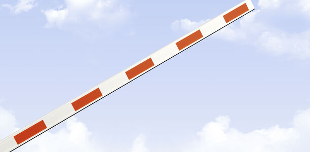 Bild zu Typ-2-Diabetes - Wie sich der Körper schützt: Forscher entdecken Schlüsselrolle des Proteins HPGD