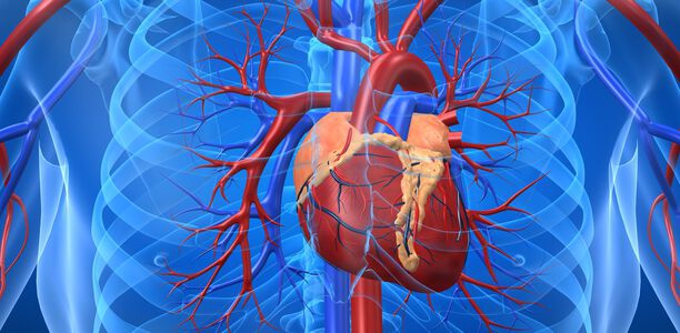 Bild zu CVOT Summit 2018 - Update zu kardiovaskulären Endpunktstudien (CVOTs) bei Diabetes