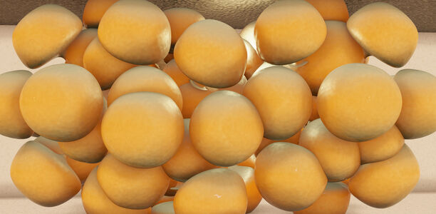 Bild zu Forschung - Wie das Gehirn Fettgewebe kontrolliert