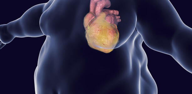 Bild zu Grundlagenforschung - Fit trotz Fett: Hemmung des Fettabbaus schützt das Herz