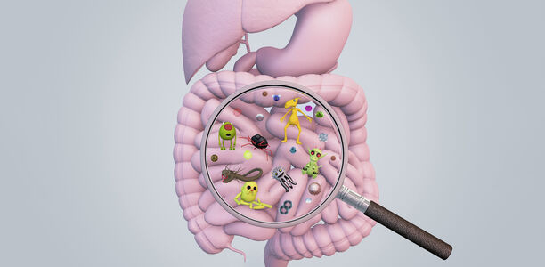 Bild zu Schwerpunkt: Intestinales Mikrobiom - Darmbakterien: Einfluss auf Typ-1-Diabetes