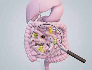 Bild zu Schwerpunkt: Intestinales Mikrobiom - Darmbakterien: Einfluss auf Typ-1-Diabetes