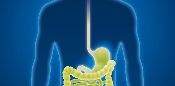Bild zu Typ-2-Diabetes - Mikrobiom spielt essentielle Rolle in der Behandlung mit Metformin