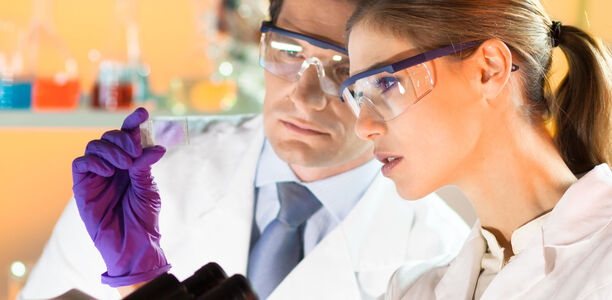 Bild zu Neues DFG-Graduiertenkolleg - Vivid untersucht die frühe Entstehung von Typ 2-Diabetes