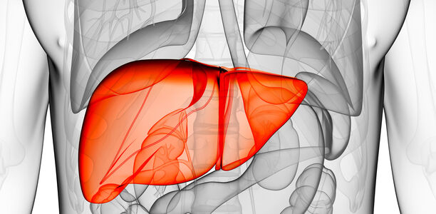 Bild zu Studienprogramm VERTIS - Günstige Auswirkungen von Ertugliflozin auf Leberwerte