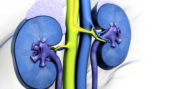 Bild zu Zulassung - Canagliflozin im deutschen Markt