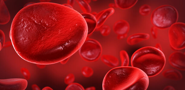 Bild zu Blutgerinnungsstörungen - Innovativer Ansatz zur Behandlung arterieller Thrombosen