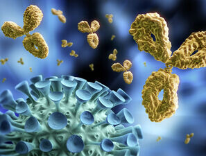 Bild zu Bis zu 65.000 Blutproben - Fr1da-plus-Studie: nun auch Tests auf SARS-CoV-2-Antikörper