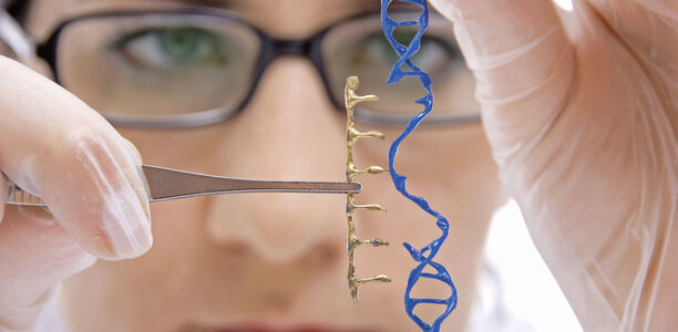 Bild zu RAGE - DNA-Reparatur reaktivieren – diabetische Spätschäden verhindern