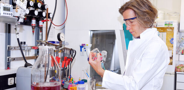 Bild zu Bestandsaufnahme - Welche Rolle spielen Archaeen im menschlichen Mikrobiom?