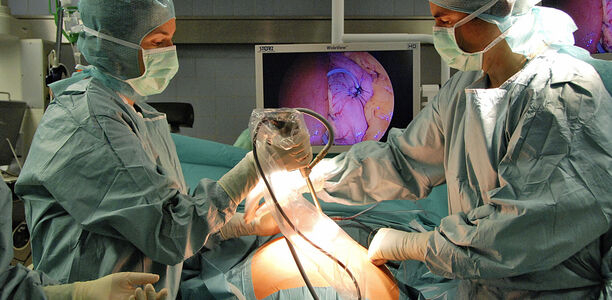 Bild zu Orientierungshilfe - Adipositas-Chirurgie: Neue Leitlinie für Patienten klärt auf