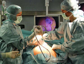 Bild zu Orientierungshilfe - Adipositas-Chirurgie: Neue Patienten­leitlinie klärt auf