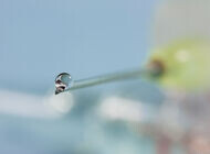 Bild zu COVID-19 - Sanofi und GSK liefern Impfstoff an Europäische Union