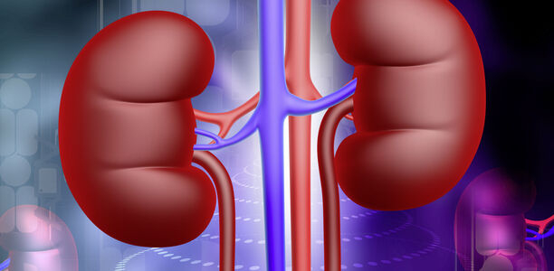 Bild zu Ab 1. Okt.: „Nephrologie 2020“  - Nephrologie – viele Innovationen zu Beginn des neuen Jahrzehnts