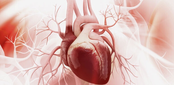 Bild zu Herzinsuffizienz - Dapagliflozin erreicht primären Endpunkt in der Phase-III-Studie DAPA-HF