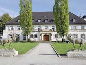 Bild zu "Kardiovaskulärer Präventivmediziner DGPR©": - Fortbildung online und im Schloss!