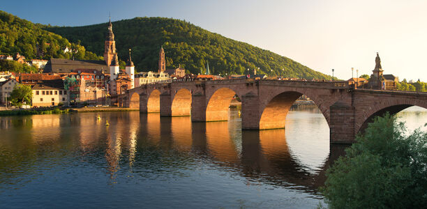 Bild zu Nachfolge - Julia Szendrödi neue Ärztliche Direktorin der Klinik für Endokrinologie, Stoffwechsel und Klinische Chemie Heidelberg