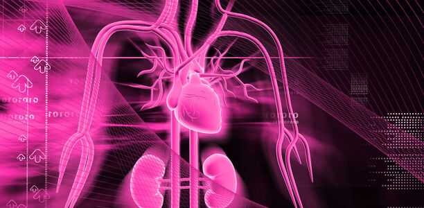 Bild zu Diabetestherapie - Vorerkrankungen bestimmen die moderne Diabetestherapie: Komplikationen für Herz und Niere vermindern