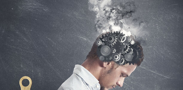 Bild zu Stress in jeder Zelle: - Erste detaillierte Kartierung der Stressachse