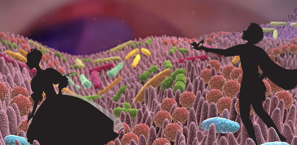 Bild zu Schwerpunkt „Intestinales Mikrobiom“ - Mikrobiom: Geschichte vom Aschenputtel