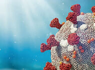 Bild zu Covid-19 und Diabetes - Das Risiko managen