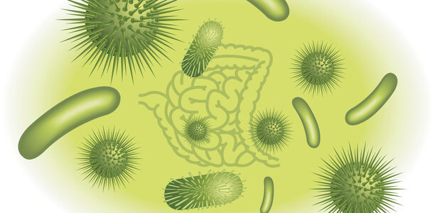 Bild zu Schwerpunkt: Intestinales Mikrobiom - Intestinales Mikrobiom: 10 Fragen, 10 Antworten