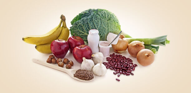 Bild zu Schwerpunkt: „Intestinales Mikrobiom“ - Beeinflusst Essen und Trinken das Mikrobiom?