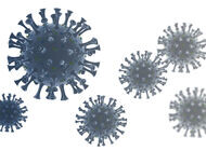 Bild zu Pandemie - Gesichertes Wissen über COVID-19