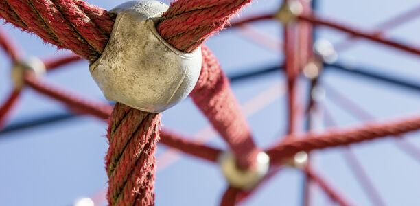 Bild zu Vernetzte Lösungen für das Diabetes-Management - Lilly kooperiert mit führenden Diabetes-Technologieunternehmen