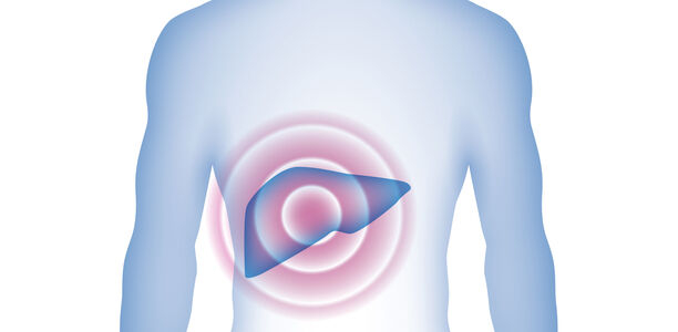 Bild zu Lebererkrankungen - Früh erkennen statt spät behandeln