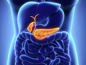 Bild zu Schwerpunkt „Gastrointestinaltrakt“ - Ungünstige Prognose bei Pankreaskarzinom