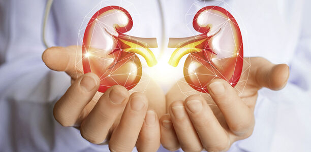 Bild zu Weltnierentag  - Durch umfassende Aufklärung die Nierengesundheit fördern