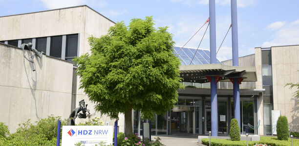 Bild zu Diabetisches Fußsyndrom - Kaltplasma wirkt via Wachstumsfaktoren