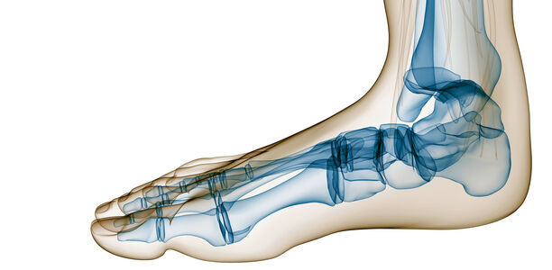 Bild zu Behandlung - Präventive Fußchirurgie